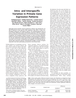 Intra- and Interspecific Variation in Primate Gene Expression Patterns