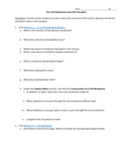 The Cell Membrane and Cell Transport Directions