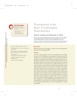 Neurogenesis at the Brain&ndash;Cerebrospinal Fluid Interface