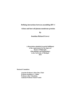 Defining interactions between assembling HIV-1 virions