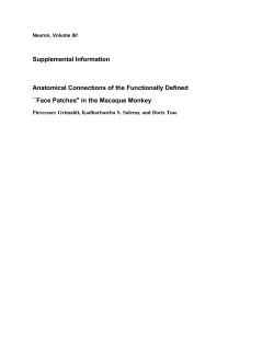 Face Patches`` in the Macaque Monkey