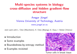 cross-diffusion and hidden gradient