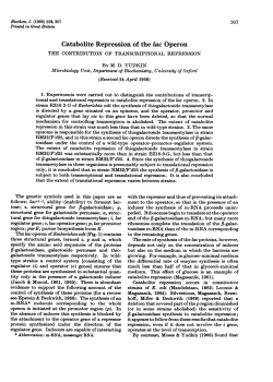 Catabolite Repression of the lac Operon