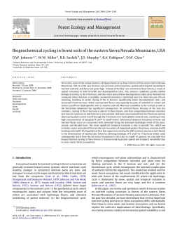 Biogeochemical cycling in forest soils of the eastern