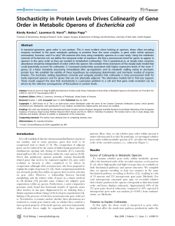 Stochasticity in Protein Levels Drives Colinearity of