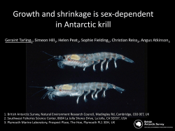 Growth and shrinkage is sex-dependent in Antarctic krill