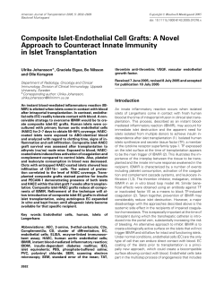 Composite Islet-Endothelial Cell Grafts: A Novel