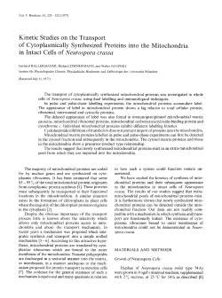 Kinetic Studies on the Transport of Cytoplasmically Synthesized