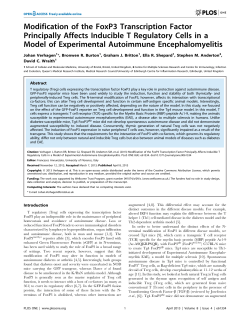 Modification of the FoxP3 Transcription Factor Principally Affects