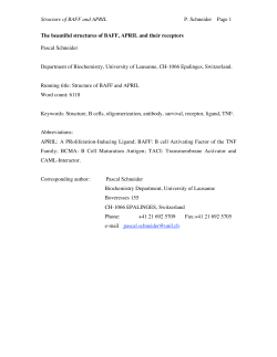 Structure of BAFF and APRIL P. Schneider Page 1 - Serval
