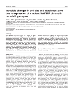 Inducible changes in cell size and attachment area due to