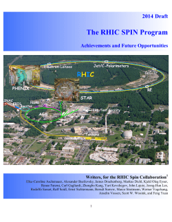 The RHIC SPIN Program - Temple University Department of Physics