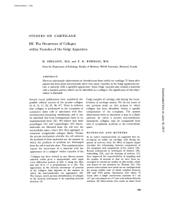 STUDIES ON CARTILAGE III. The Occurrence of Collagen within