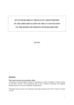 Seventh Disability High Level Group Report on the implementation