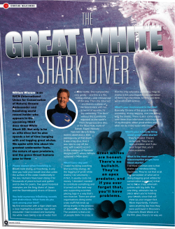 The Great White Shark Diver
