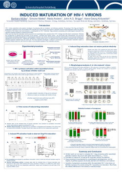 INDUCED MATURATION OF HIV