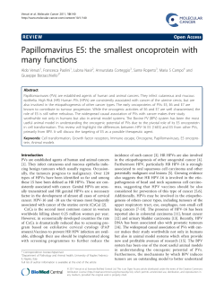 Papillomavirus E5: the smallest oncoprotein with many functions
