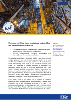 Upstream factsheet - Wintershall Holding GmbH