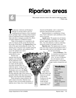 Riparian areas 6