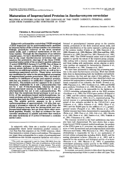 PDF - Purdue University Chemistry Department