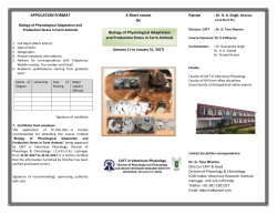 Brochure