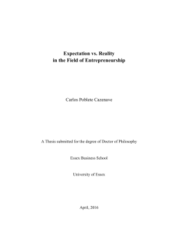 Expectation vs. Reality in the Field of Entrepreneurship