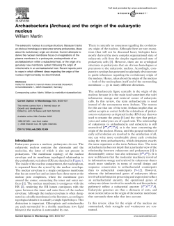 Archaebacteria (Archaea)