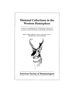 Mammal Collections in the Western Hemisphere