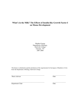 GeorgeThesis 2008 - Hartwick College