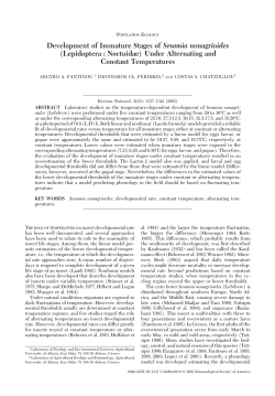 Development of Immature Stages of Sesamia nonagrioides