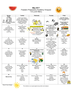 May 2017 Freedom Preparatory Academy Vineyard 1