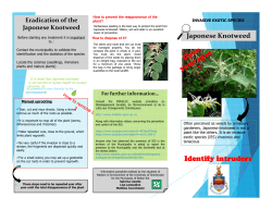 Microsoft PowerPoint - Ppt0000005.ppt [Mode de