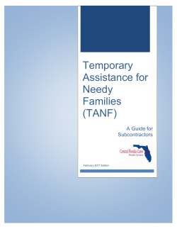 Temporary Assistance for Needy Families (TANF)