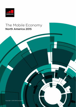 The Mobile Economy