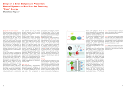 Katalog LSD_Layout_rz_NEU