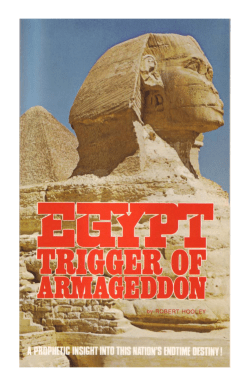 Egypt: Trigger of Armegeddon