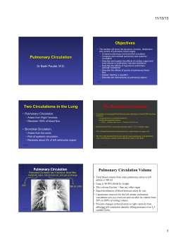 6. Pulmonary circulation