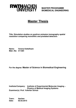 Simulation studies on positron emission - ExMI - RWTH