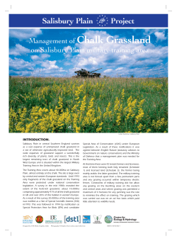 Management of chalk grassland on Salisbury Plain m
