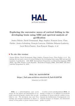 Exploring the successive waves of cortical folding in the