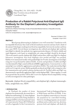 Production of a Rabbit Polyclonal Anti