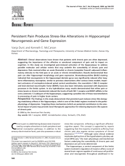 Persistent Pain Produces Stress-like Alterations in Hippocampal