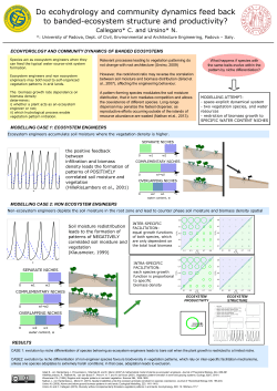 Do ecohydrology and community dynamics feed back to banded