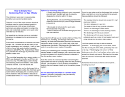 Safe Water Handling for Pools