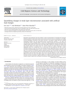 Quantifying changes in weak layer microstructure