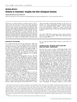 Sirtuins in mammals: insights into their biological function