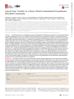 Lateral Gene Transfer in a Heavy Metal-Contaminated