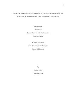 Impact of Self-Esteem and Identification with Academics