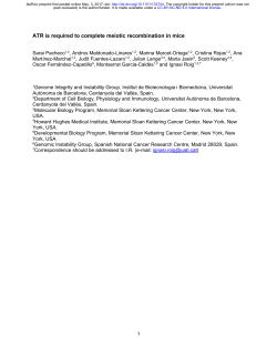 ATR Is Required To Complete Meiotic Recombination In