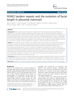 RUNX2 tandem repeats and the evolution of facial length in